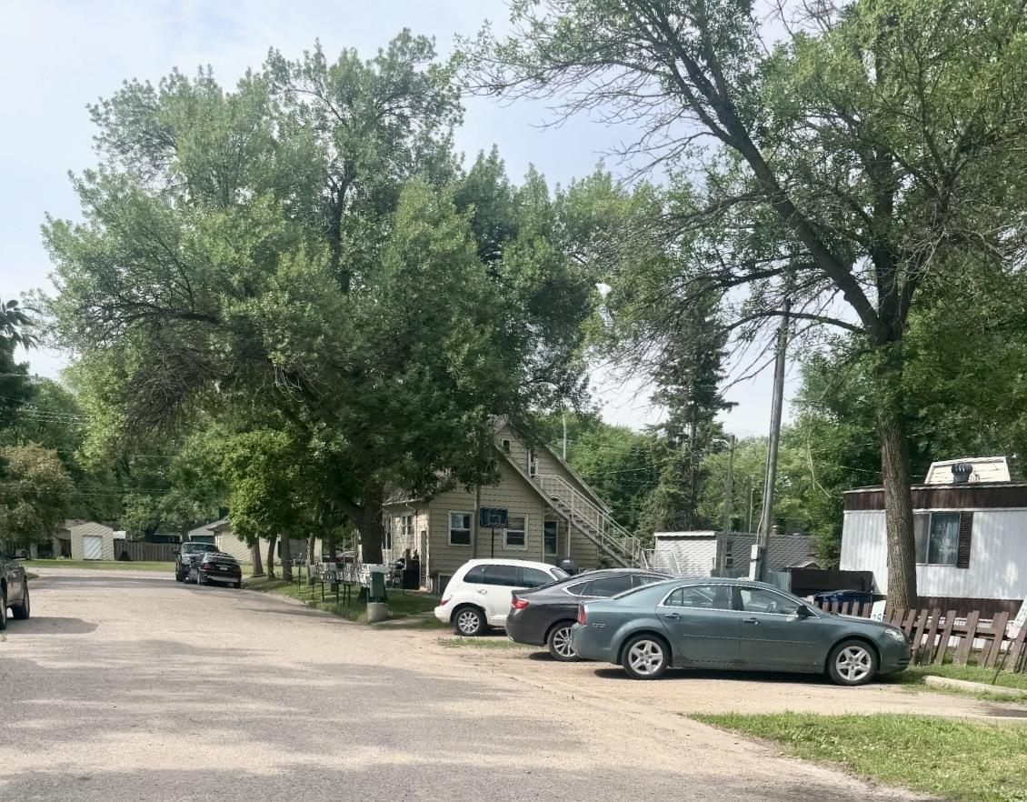 A tree-lined street at Moorhead Estates